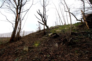 Hier soll er hin, unser Erdkeller. Vorher-Blick auf den zukünftigen Nordeingang.