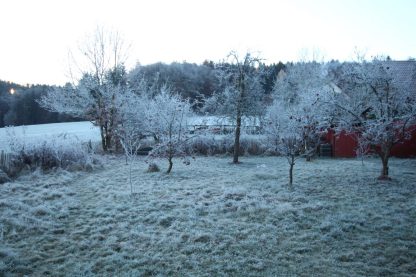 Väterchen Frost überdeckt das öde und fade "graubraun" aus dem Garten.