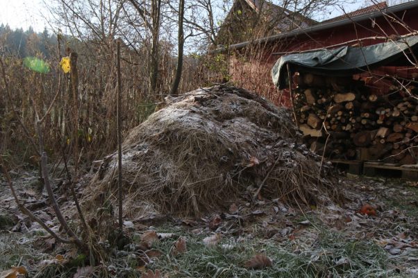Struktur bietet Nahrungsquellen. Hier noch Schneefrei Grashaufen neben Holzlager, dahinter Himbeergestrüpp - ca. 2-3 qm, die wir nie betreten.